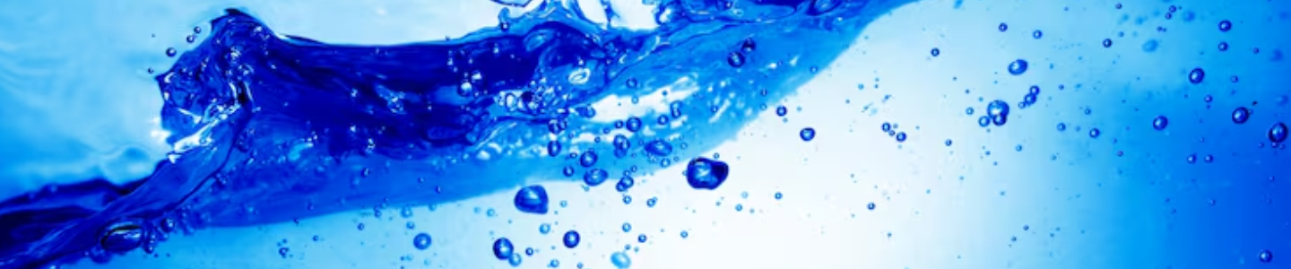 Distribuidora Portal das Águas