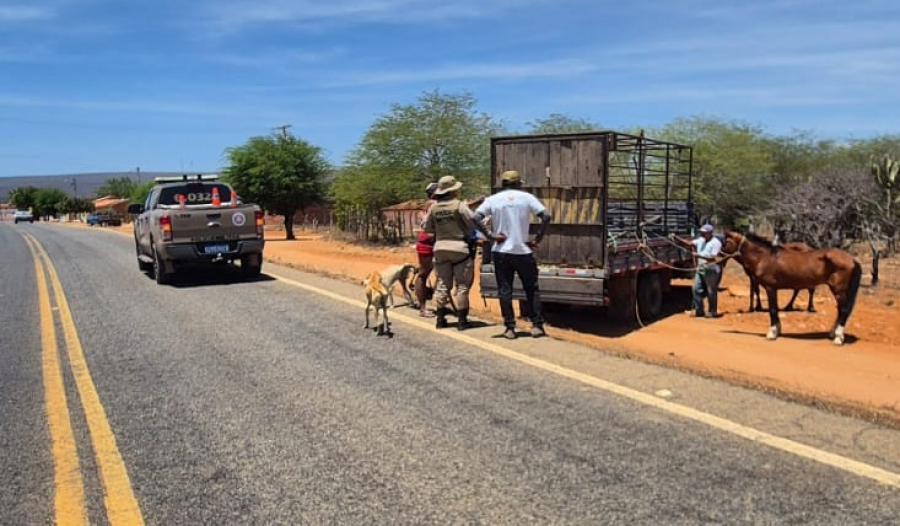 Projeto 'Pista não é pasto', uma ação integrada em Jacobina