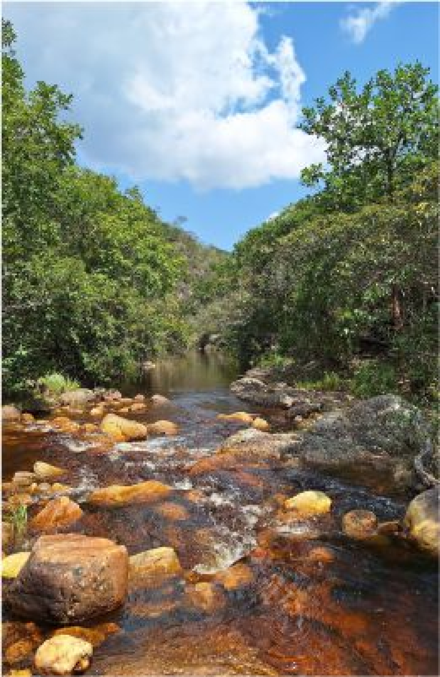 Cachoeira dos Alves